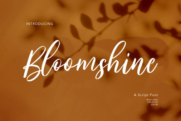 Bloomshine: A Charming Handwritten Font for Crafters