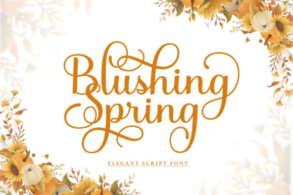 Blushing Spring: A Font for Elegant Branding
