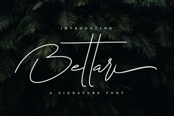 Discover Bettari: A Signature Script Font for Elegant Branding