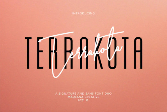 Discover Terrakota: A Versatile Font for Web Design