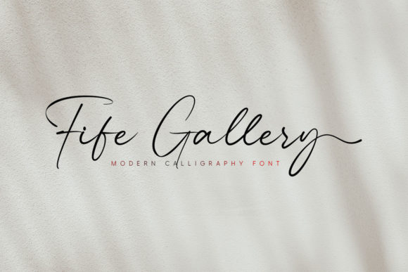 Fife Gallery: A Delicate Script Font for Editorial Elegance