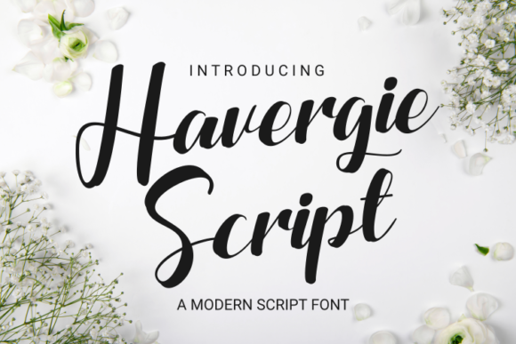 Havergie: A Stylish Script Font for Modern Branding